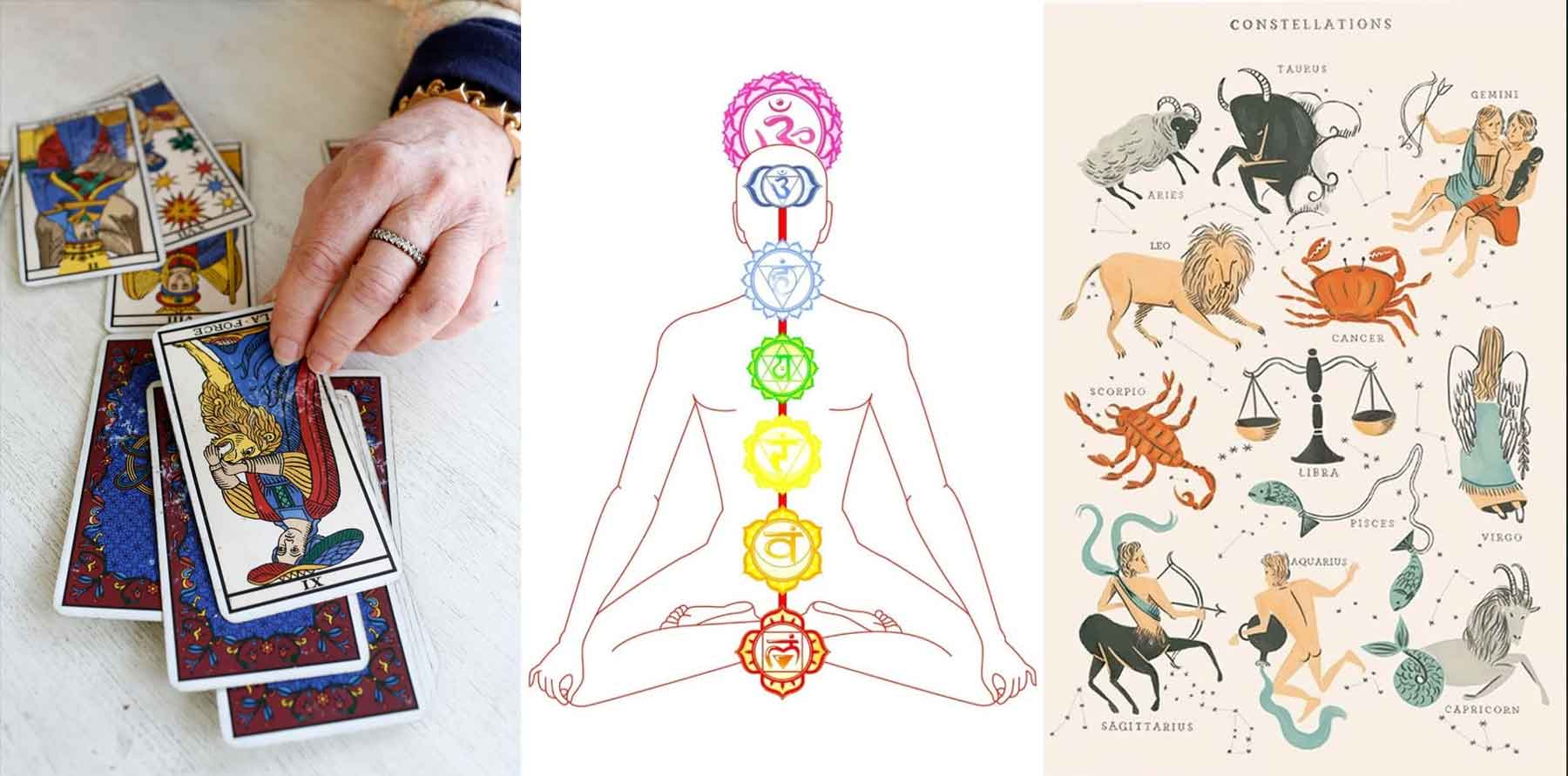 World Famous Palmistry Astrologer
