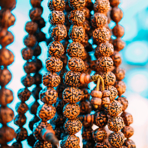 Rudraksha Beads Services in Delhi