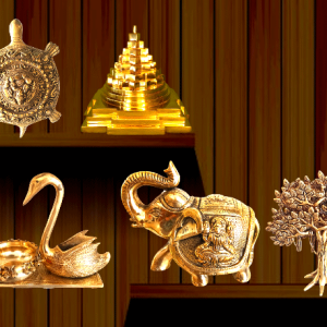 Vastu Products Services in Delhi